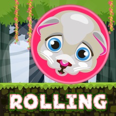 Activities of Rolling Rush - Endless Adventure