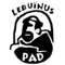 De Lebuinus Pad App is een gratis applicatie die u meeneemt langs de historische wandelroute van Lebuinus