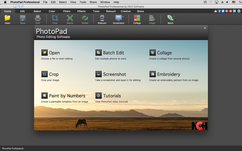 PhotoPad_Professional.app caprure 1 1_PhotoPad_Professional.jpg