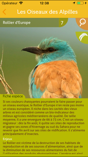 Les oiseaux des Alpilles(圖4)-速報App