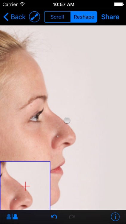 FaceTouchUp Nose Job Simulator