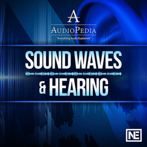 Sound Waves and Hearing 101