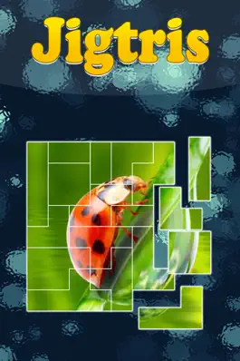 Game screenshot Tetris Photo mod apk