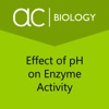Factors Affecting Enzyme Act 2