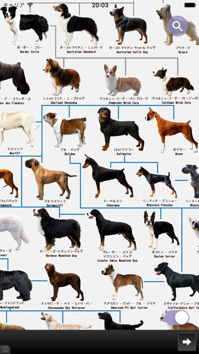 犬図鑑 Dog S Family By Shinya Fujimura Ios 日本 Searchman アプリマーケットデータ