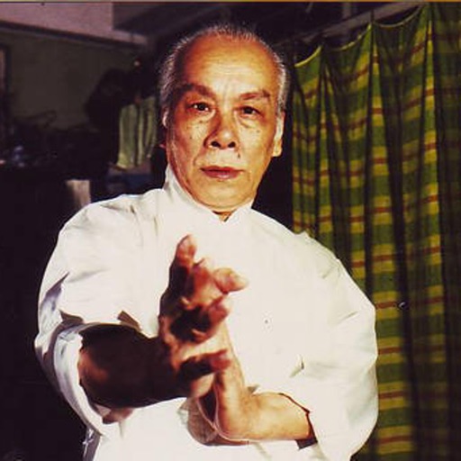 Lok Yiu Wing Chun