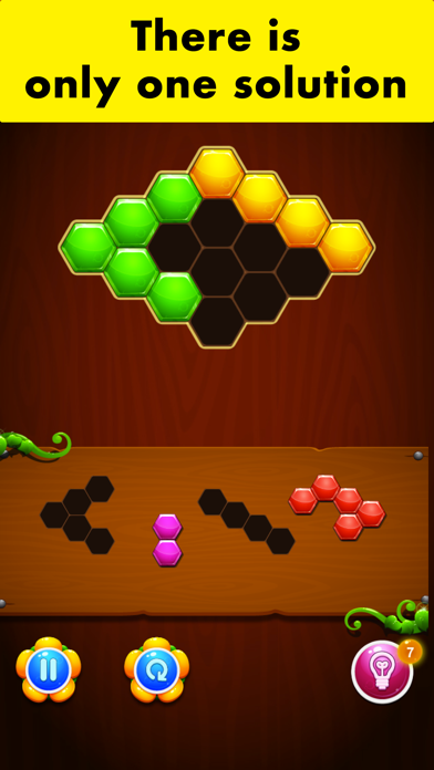 HoneyComb Puzzle - game screenshot 3