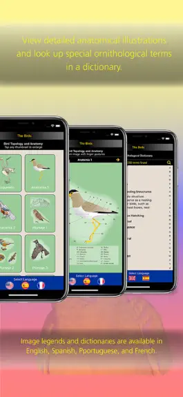 Game screenshot The Birds of Venezuela hack