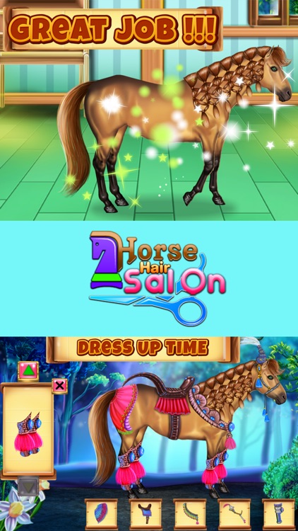 Horse Hair Salon