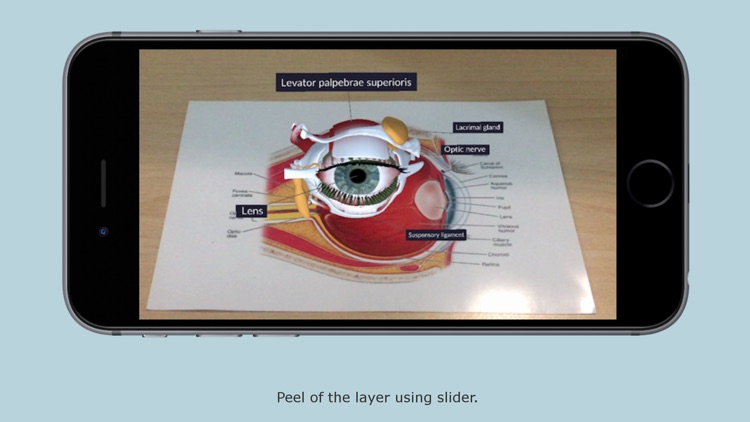 Human Eye - Augmented Reality