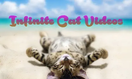 Infinite Cat Videos — Funny Internet Clips Cheats