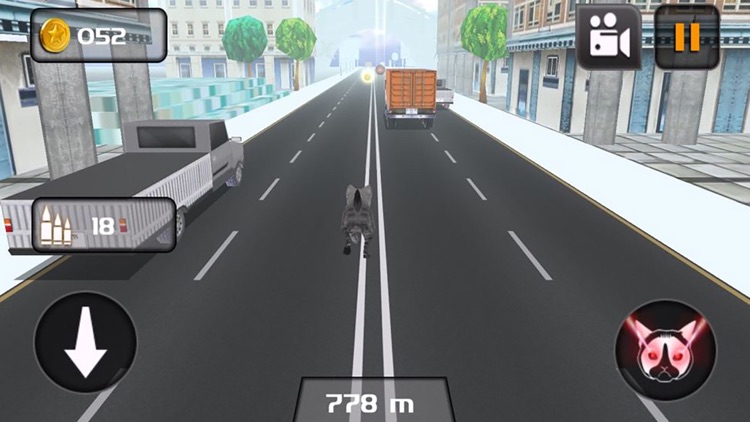 Kitty Cat Rush 3D Game screenshot-3