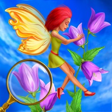 Activities of Fairy Hidden Objects