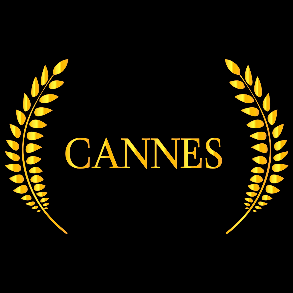 Get Cannes Travel Guide Offline for iOS, iPhone, iPad Aso Report