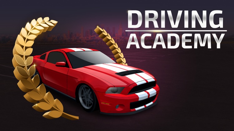 Driving Academy 2017 Simulator 3D screenshot-4