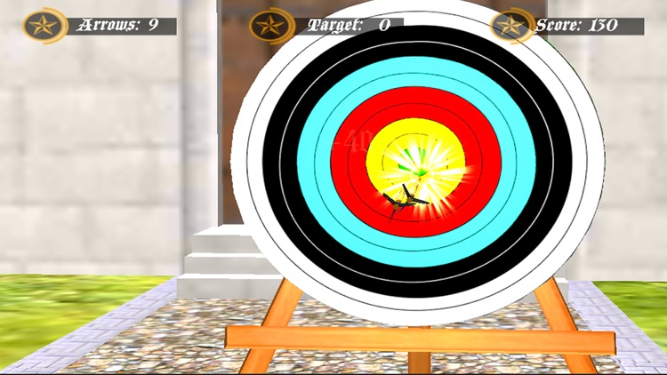 Modern Crossbow Arrow Shooting