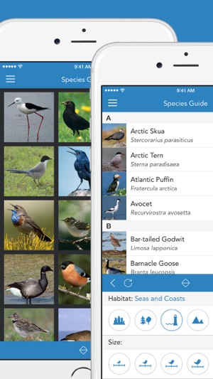 Birds PRO HD(圖2)-速報App