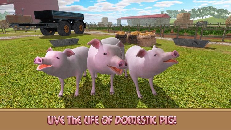 Ranch Simulator - Getting Piggy With It! 