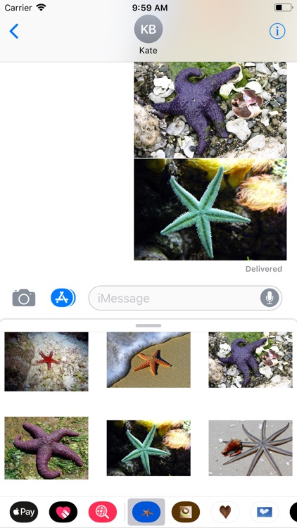 Starfish Sticker Pack screenshot-9