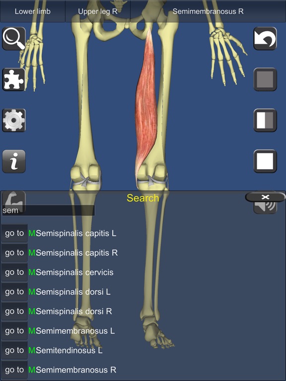 App Shopper: Visual Muscles 3d (medical)