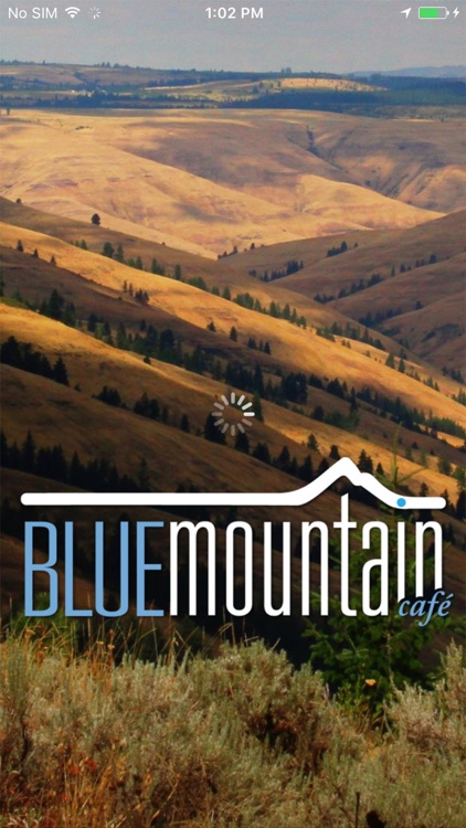 Blue Mountain Café