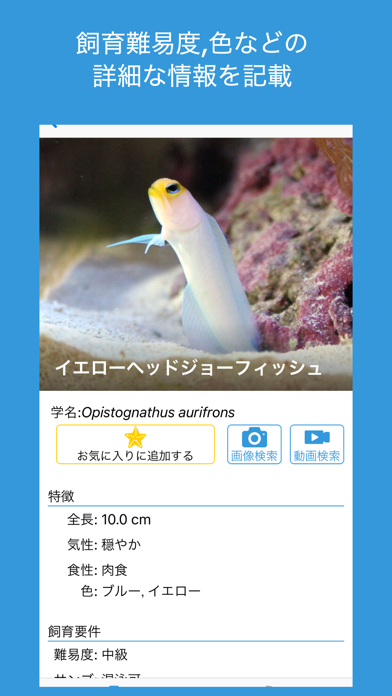 BlueBook - 海水サクサク検索 掲... screenshot1