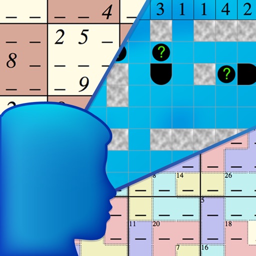 Not just sudoku by 0944518 b c ltd 