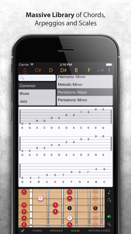 Guitar Gravitas screenshot-3