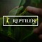 Reptilen
