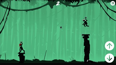 The Ninja - 2 Players screenshot 4