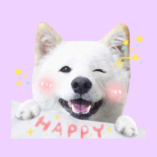 Shiba Dog Animations Stickers