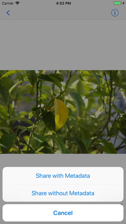 ViewExif screenshot-3