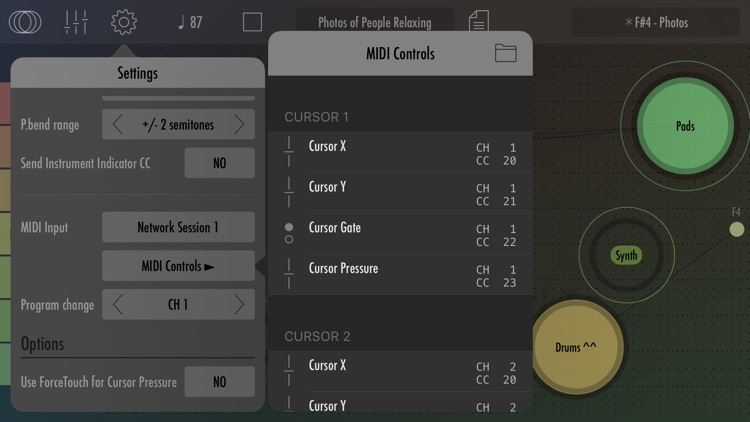 Gestrument Pro screenshot-6