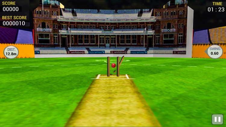 Cricket Run Out 3D