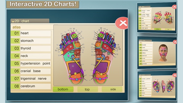 Total Reflexology-3D(圖1)-速報App