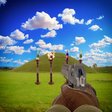 Activities of Bottles Shooting Pistol 2017