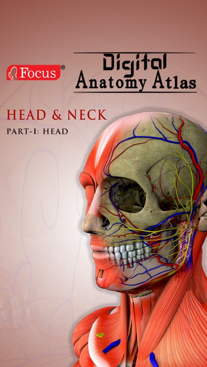 Head and Neck