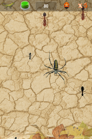 Bug Insect Smasher Evolution screenshot 3