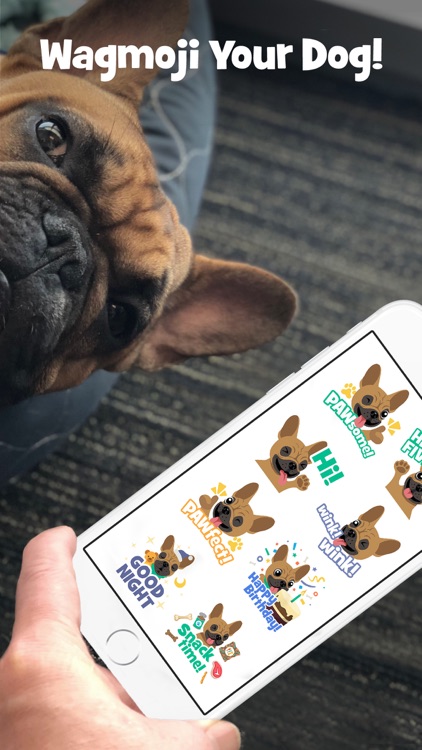 Wag! - Instant Dog Walkers screenshot-9
