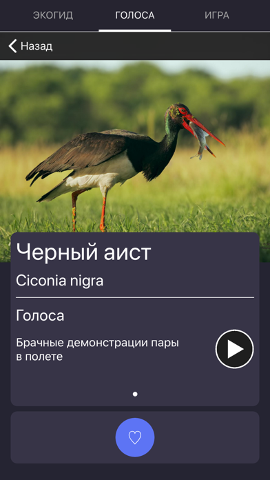 Экогид - Голоса птиц Screenshot 6