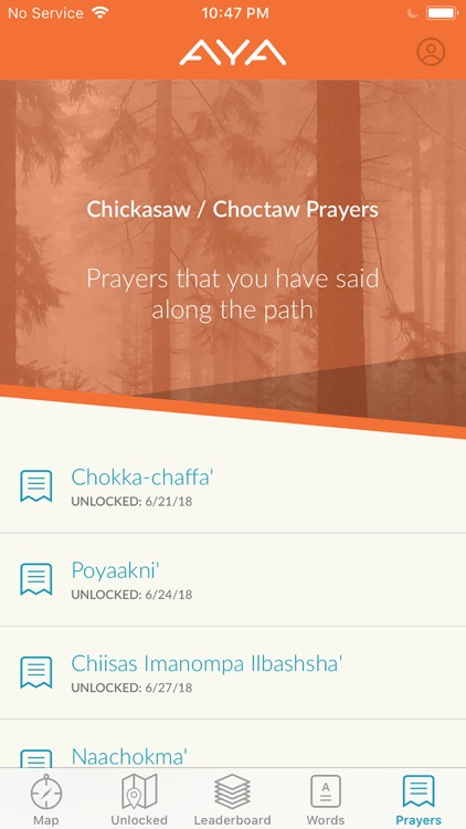 AYA Walk screenshot-6