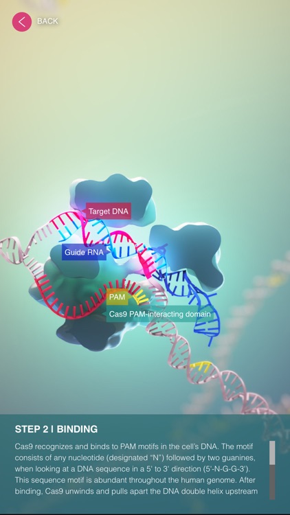 CRISPR-Cas9