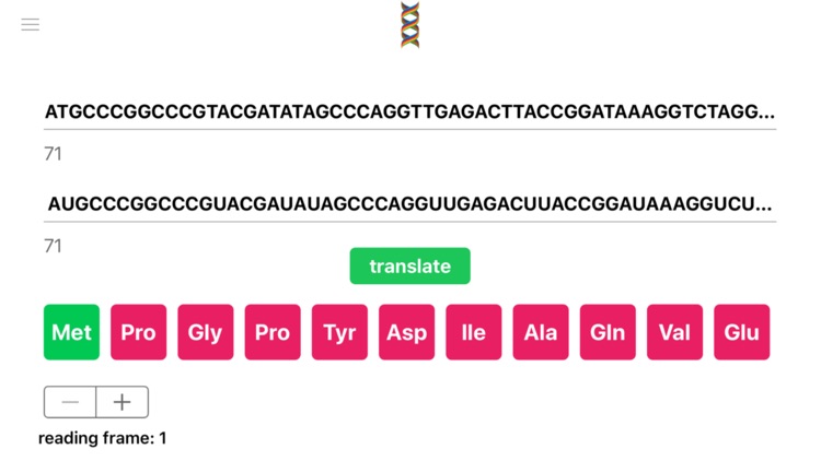 DNA Translator