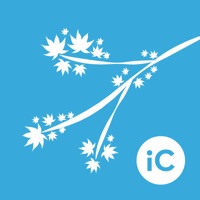 iC Brushes - ABR Importer pour PC