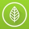 Tons of tasty clean and green vegetarian recipes at your fingertip