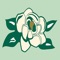 Start banking wherever you are with your BOE/MSB Mobile for iPad mobile app