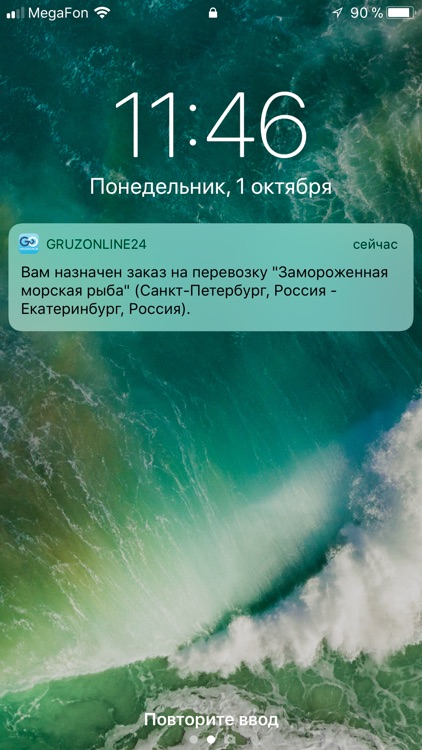 Gruzonline24 screenshot-5