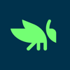 no app image