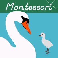 Baby Animals Montessori Vocab.