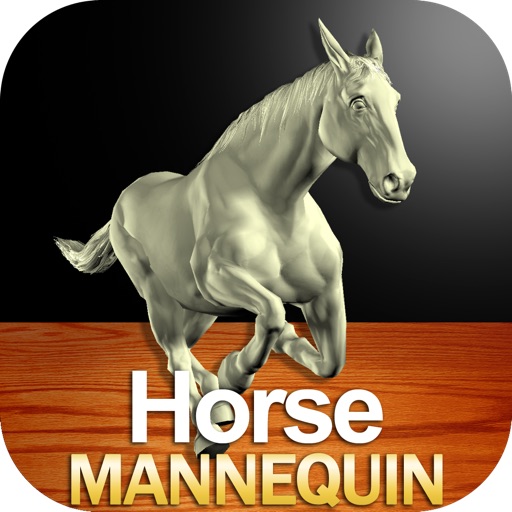 Horse Mannequin Download